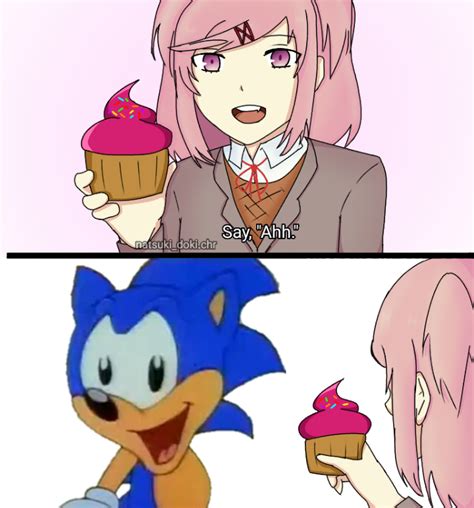Sonic Says... DDLC