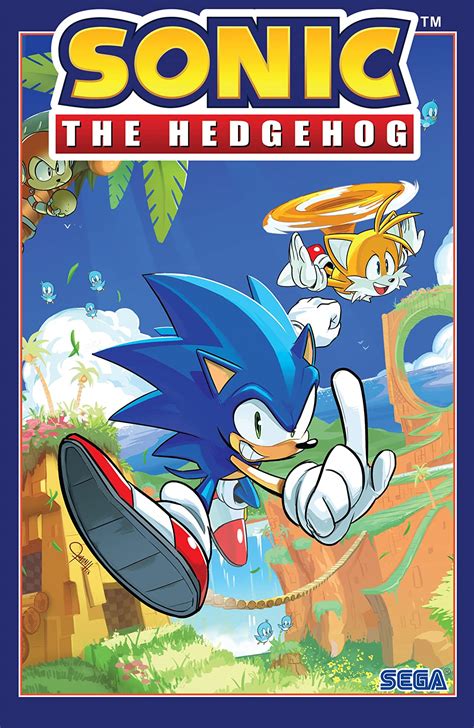 Download Sonic The Hedgehog Vol 1 Fallout By Ian Flynn
