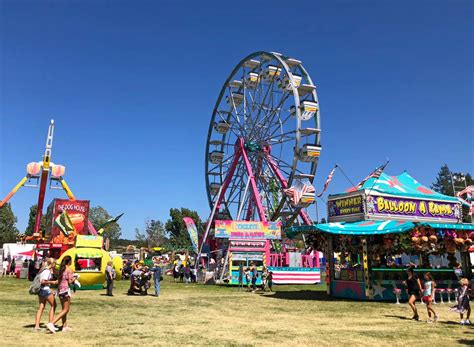 Sonoma county fair. Solano, Sonoma, & surrounding counties Time Frame: Baler: Yes Phone: 707-878-2086 Cell: 707-338-8775 Email: Danuel Cornejo Small Flocks Los Banos, CA ... Northern CA, … 