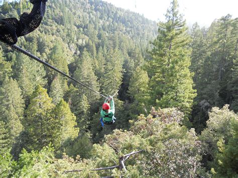 Sonoma zipline adventure. the best place to buy adventure packages for the Sonoma Zipline Adventures and the Sonoma Treehouse Adventures 