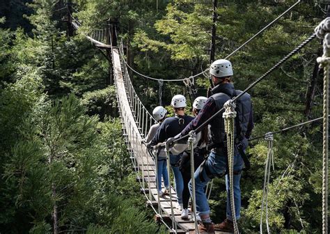 Specialties: We offer 2.5 hours of zip line thrills in the Northern California Redwoods. We've got 2 great courses. Our Forest Flight Course can be done during the day or at night. Check out our "Zip the Day Away Special!" Book 2 flights on the same day and save! Our Tree Tops Course is one of the most popular with multiple zip lines and sky bridges. Marvel at panoramic forest views and deep ... . 
