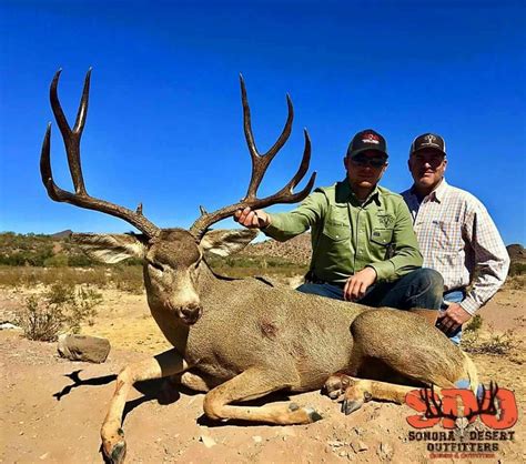 Sonora Mule Deer Hunt Prices