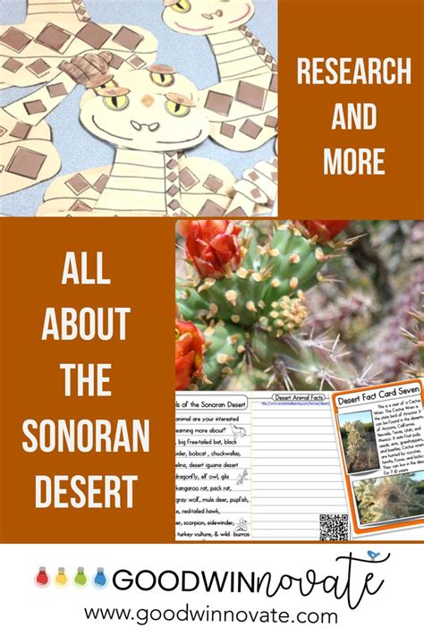 Sonoran Desert Fact and Research Desert facts, Elementary …