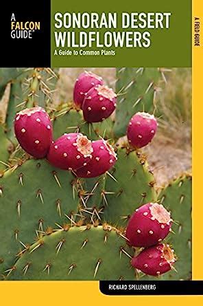 Sonoran desert wildflowers a guide to common plants wildflower series. - The which wine guide 2001 which consumer guides.