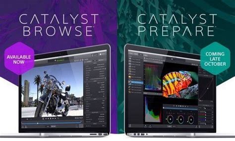 Sony Catalyst Browse Suite 2019.2.1 with Crack