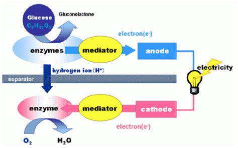 Sony Develops Bio Battery Generating Electricity From Sugar