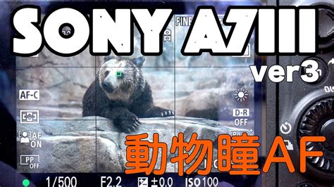 Sony a7iii ファームウェア動物