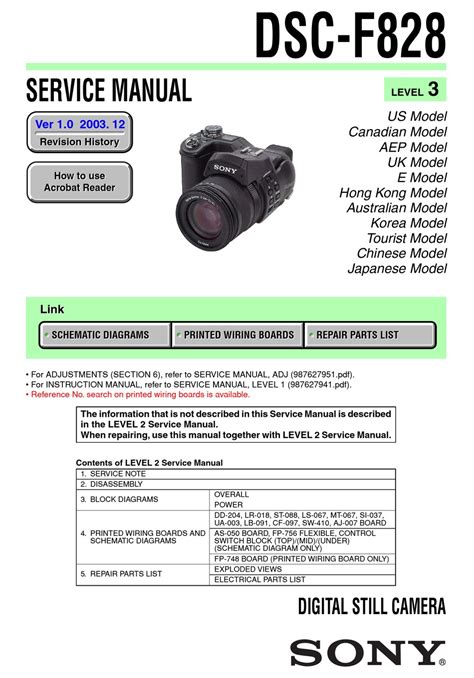 Sony cyber shot dsc f828 service manual l1 l2 adjustments download. - Hazards of entrepreneurship a guide to business success.