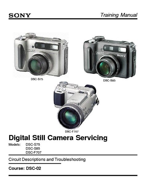 Sony dsc f707 digital camera service repair manual. - Creatività e comunicazione nelle persone con demenza una guida pratica.
