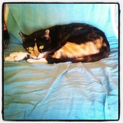 Sophy666 Onlyfans Leak 🔥 [PPV]