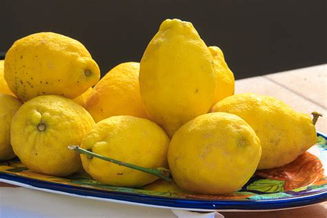 Sorrento lemons. Things To Know About Sorrento lemons. 