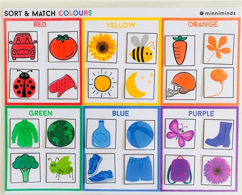 Sort by Color Printable Worksheet Learn colours Printable Etsy