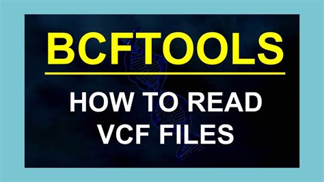 Sort vcf file bcftools.  If you talk about a particular sort of something, you are talkin...
