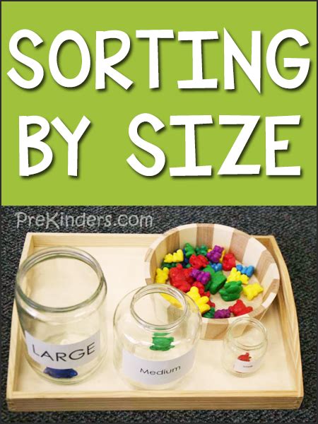 Sorting by Size - PreKinders