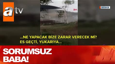 codini.rgarabwor.edu.pl. 