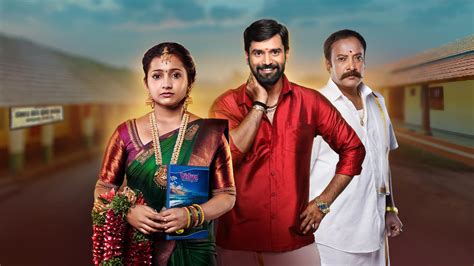 Sose Halı ve Koltuk Yıkama