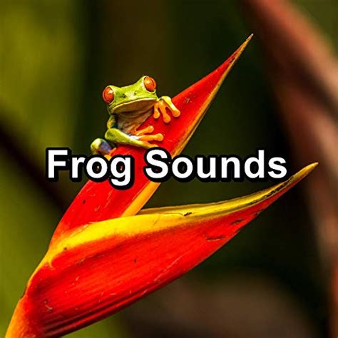 Sound of Swamp with Frogs - Musica Relajante, Nature Sounds …