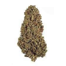 Sour Hawaiian Haze Marijuana Strain Information & Reviews AllBud