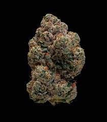 Sour best shit ever strain. Sour Apricot regular cannabis seeds. 139,00 € VAT included. Compound Genetics Sour Apricot Regular Seeds is a Legend Orange Apricot selection crossed with the mystery Sour Best Shit Ever. Origin: Legend Orange Apricot x Sour Best Shit Ever. Genetics: Indica 60% – Sativa 40%. THC: 20-25%. 