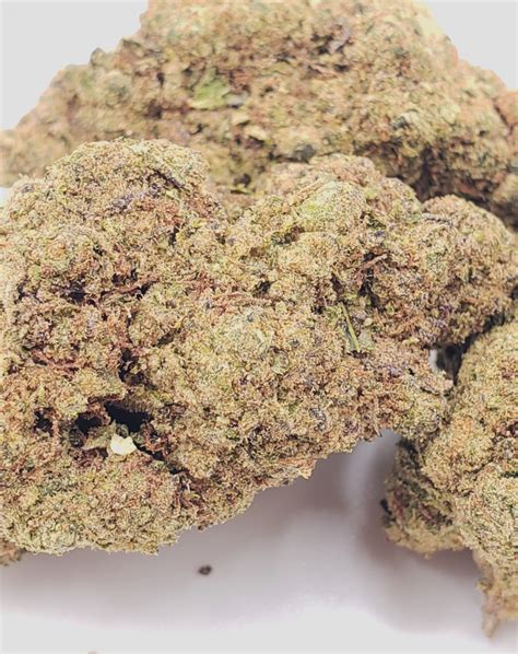 Sour runtz strain leafly. low THC high THC. Mimosa, also known as "Purple Mimosa," is a hybrid marijuana strain made by crossing Clementine with Purple Punch. In small doses, this strain produces happy, level-headed ... 