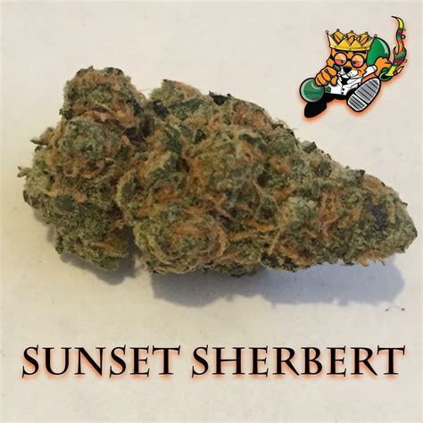 Oct 18, 2020 · THC: 18% - 24%, CBD: 1 %. Sour Sunset is a rare slightly indica dominant hybrid (60% indica/40% sativa) strain created through crossing the delicious AJ's Sour Diesel with Sunset Sherbet. The flavor of Sour Sunset is everything you want from a fruity bud, with tastes of rich tropical fruits blending together for a flavor explosion that will ... . 
