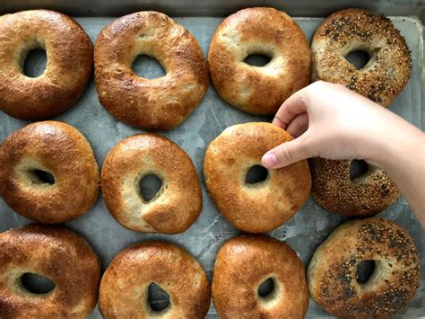 Sourdough New York Bagel - Recipe ⋆ UMAMI FOR THE SOUL