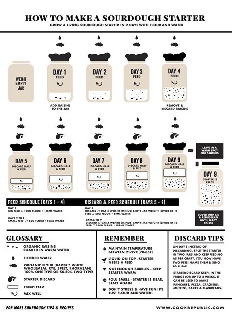 Sourdough Starter Ratio Chart