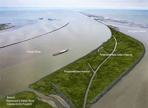 South Arm Jetty Tidal Marsh Port of Vancouver