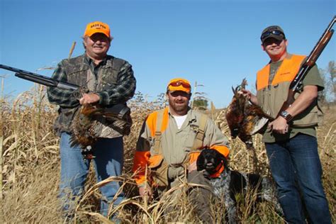 South Dakota Pheasant Hunting Dakota Pheasant Chamberlain, …