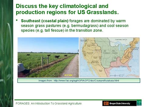 South East Coastal Plain Grasslands