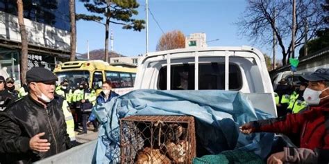 South Korean farmers rally near presidential office to protest proposed anti-dog meat legislation