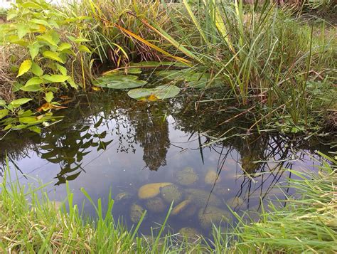 South Pond Natural Atlas