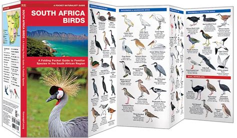South africa birds a pocket naturalist guide. - Hp officejet 6500a user manual english.