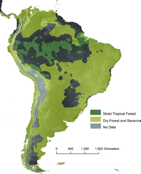 South america vegetation. Article Vocabulary South America, the fourth-largest continent, extends from the Gulf of Darién in the northwest to the archipelago of Tierra del Fuego in the south. South America’s physical geography, environment and resources, and human geography can be considered separately. 