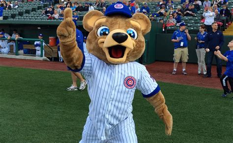 South bend cubs bag policy. Things To Know About South bend cubs bag policy. 