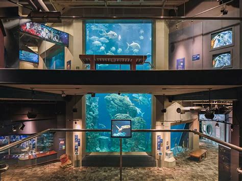 South carolina aquarium. 