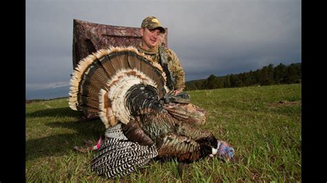 Learn about the spring and fall turkey hunts and combination pheasant/deer/turkey hunts offered by Antler Ridge Lodge in Hamill, South Dakota. Find out the availability, prices, results, and photos of the hunts and how to reserve your spot.