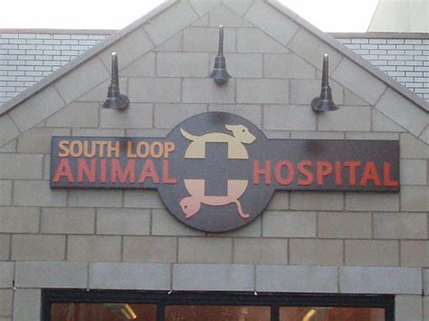 South loop animal hospital. See more reviews for this business. Top 10 Best Pet Hospitals in Chicago, IL - January 2024 - Yelp - South Loop Animal Hospital, Diversey Animal Hospital, MedVet Chicago, Village West Veterinary, VCA Animal Care Center of Chicago, Family Pet Animal Hospital, Veterinary Emergency Group, Banfield Pet Hospital, Ravenswood Animal Hospital LLC ... 