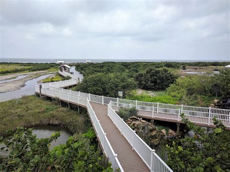 South padre island birding and nature center. The WBC is a network of nine sites dotted along 120 miles of river road from South Padre Island west to Roma, with habitats ranging from dry chaparral brush and verdant riverside thickets to freshwater marshes and coastal wetlands. Over 10,000 acres will be opened up, many for the first time, and all prime for viewing. 