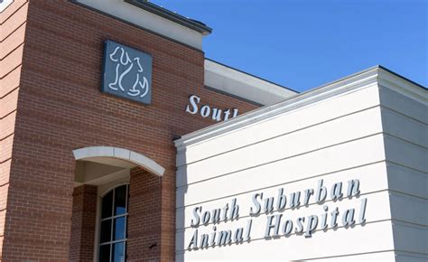 South suburban animal hospital. Things To Know About South suburban animal hospital. 