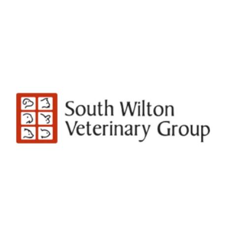 South wilton vet. Things To Know About South wilton vet. 