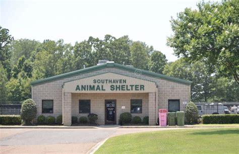 Southaven city animal shelter photos. 2350 Appling City Cove Memphis, TN 38133. Get directions view our pets. mas@memphistn.gov (901) 636-1416. view our pets. Our Mission. Memphis Animal Services offers a wide range of programs and services including the sheltering of lost and homeless animals, pet adoption and placement, spay/neuter programs, handling of … 