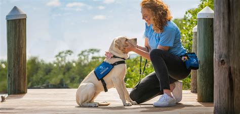 Southeastern guide dogs. Southeastern Guide Dogs Inc. Oct 2015 - Present 8 years 2 months. Palmetto, Florida. Marketing & Philanthropic Outreach. • Cultivate donor relationships, solicit, and establish new donors ... 