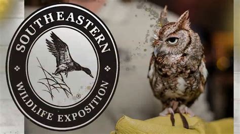 Southeastern wildlife expo charleston. SATURDAY, FEBRUARY 17, 2024. 7:30 pm - 10:30 pm (rain or shine) Brittlebank Park Dust off your boots for the eight annual Lowcountry Social and celebrate the best of the South. Enjoy local oysters ... 