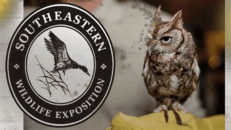 Southeastern wildlife expo charleston south carolina. Southeastern Wildlife Exposition is located at 211 Meeting St 2nd Floor in Charleston, South Carolina 29401. Southeastern Wildlife Exposition can be contacted via phone at 843-723-1748 for pricing, hours and directions. 