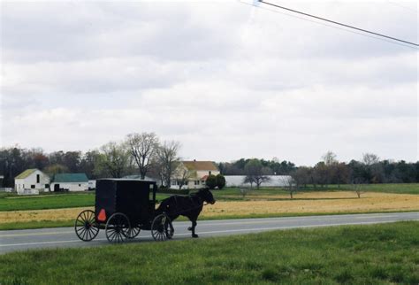 Southern Maryland Dutch Country Boundary Stones