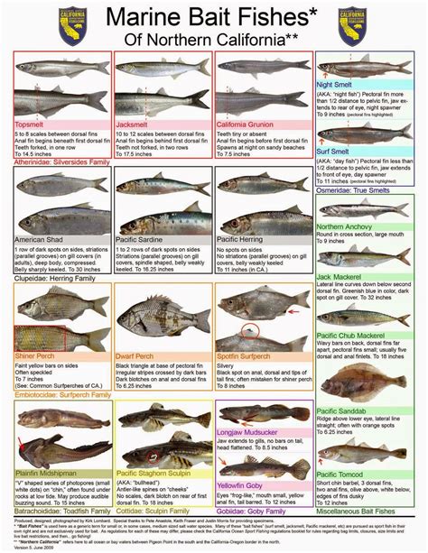 Southern california fish report. Things To Know About Southern california fish report. 