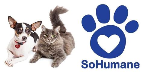 Southern oregon humane society. Things To Know About Southern oregon humane society. 