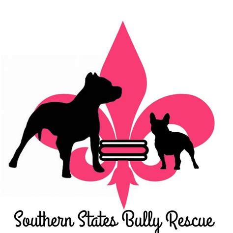 Southern States Bully Rescue Today at 11:17 AM Looking for a FOSTER for sweet Nessie 🤍 💖 Nessie is a mid-aged Ameri ... can Bulldog who has been overbred and neglected her entire life.. 