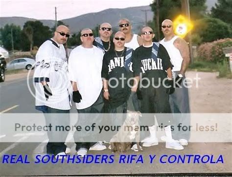 Southsiders gang. They're a violent force in 33 states and counting. Mara Salvatrucha. the gang has a uniquely international profile, with an estimated 8,000 to 10,000 members in 33 states in the United States (out of more than 700,000 gang members overall)It's considered the fastest-growing, most violent and least understood of the nation's street gangs. MS-13 … 